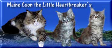 Little Heartbreakers