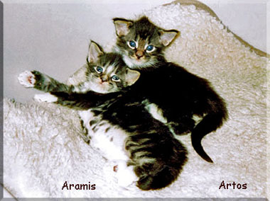 Artos & Aramis