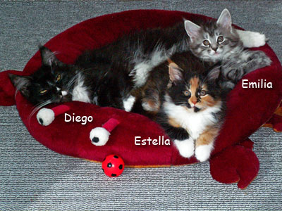 Diego, Estella & Emilia